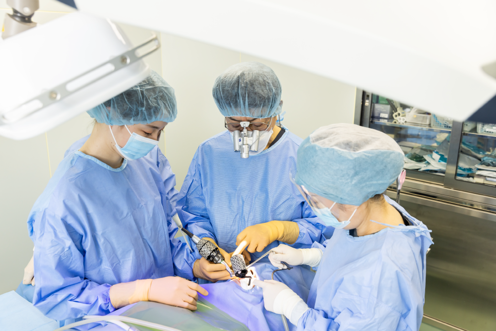 岩手県盛岡市の歯医者・インプラント歯科「高橋衛歯科医院」|