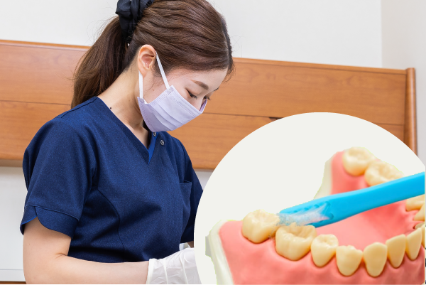 岩手県盛岡市の歯医者・インプラント歯科「高橋衛歯科医院」|Step04